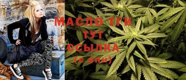 прущие грибы Ивантеевка